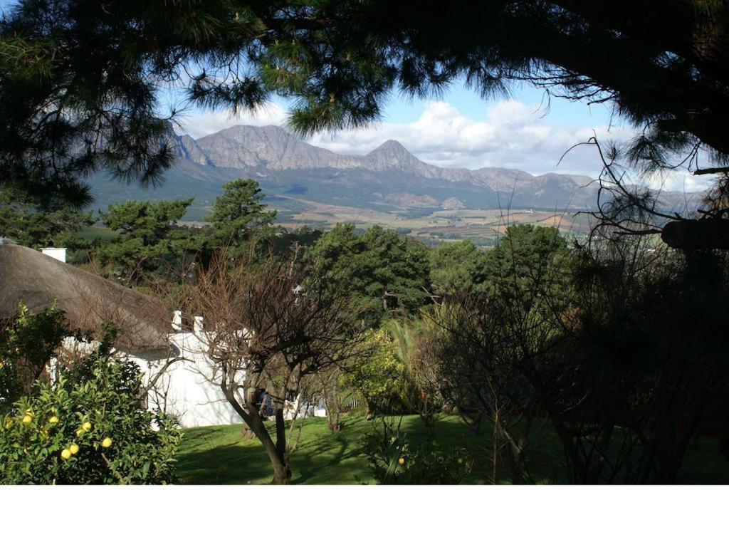 סומרסט ווסט De Molen Guest House מראה חיצוני תמונה
